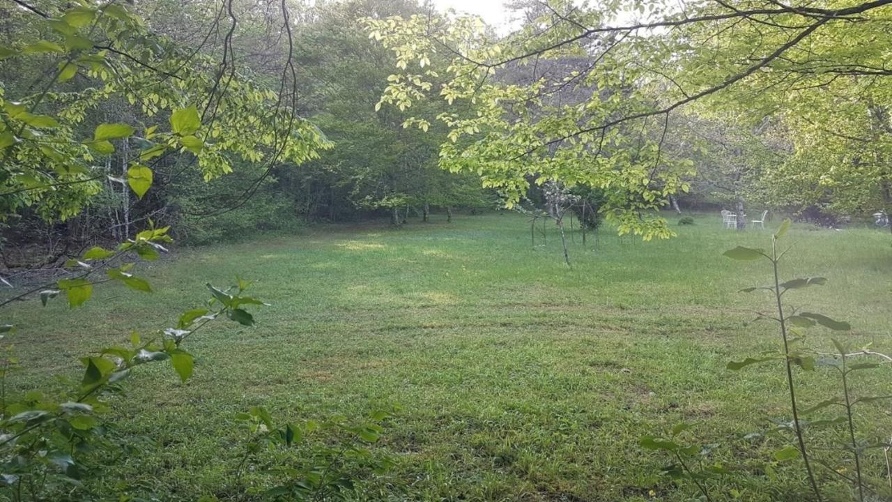 Sougeres-en-Puisaye Lovely 2-Bed Shepherds Hut In A Forest מראה חיצוני תמונה